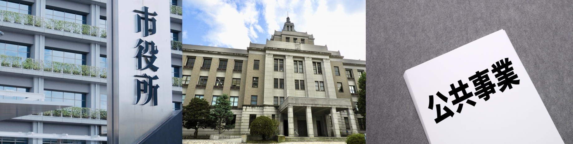 Grapefruit slice atop a pile of other slices