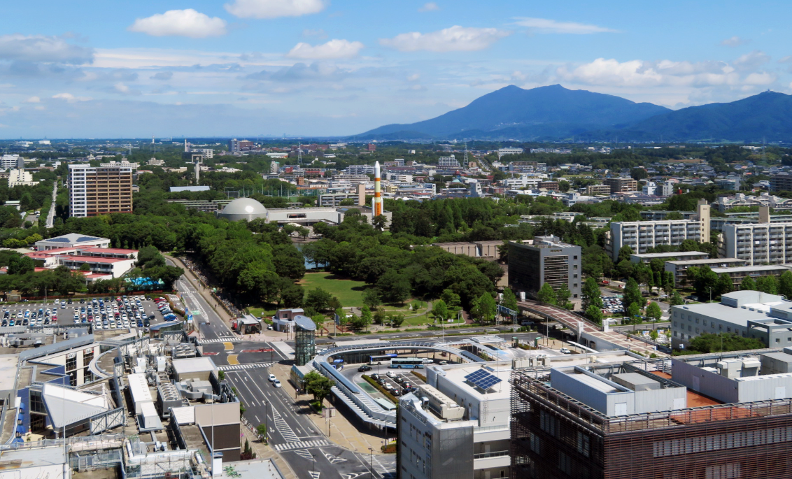 Grapefruit slice atop a pile of other slices